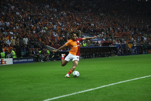 显然已早早 显然已早早