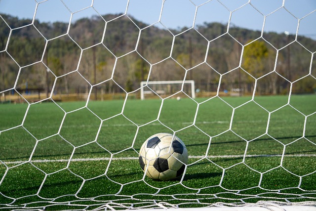 赛将迎来前 赛将迎来前