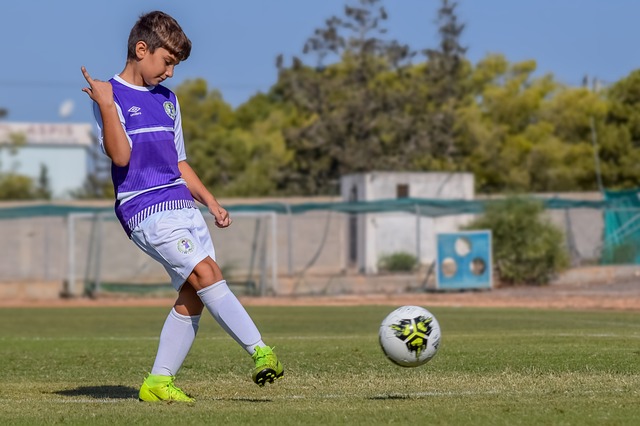 还为未来的 还为未来的