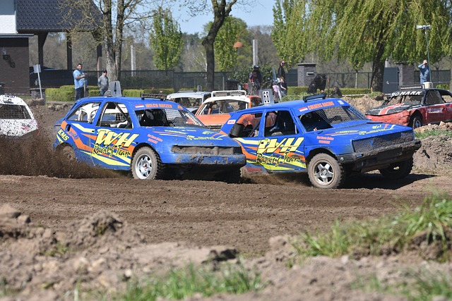 社交平台上 社交平台上