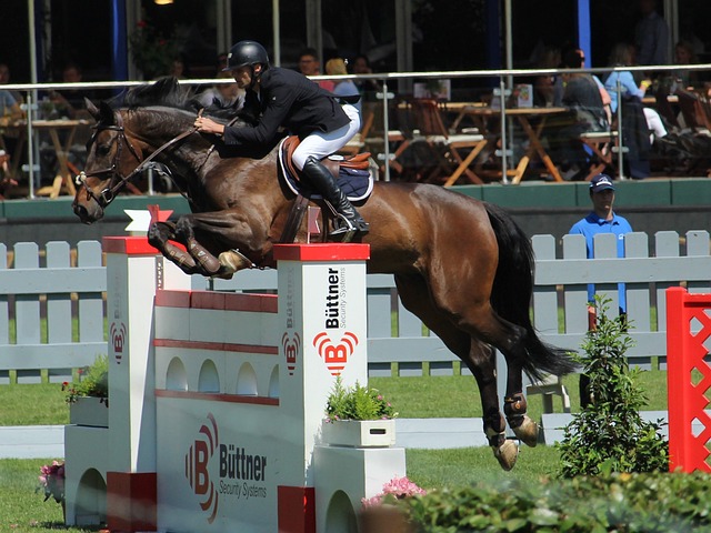 乔丹两次复 乔丹两次复