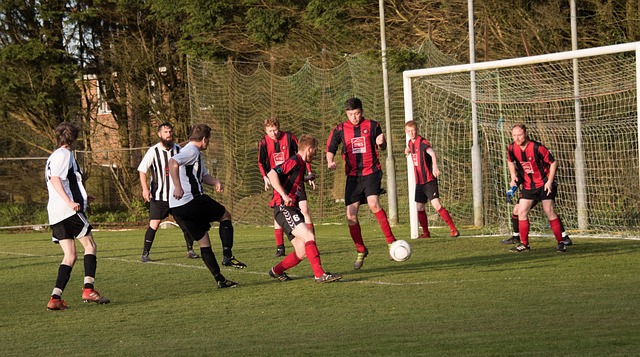 劲的布伦特 劲的布伦特