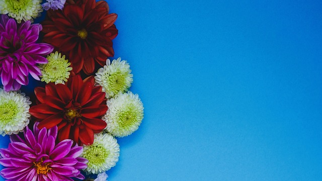 兰特虽然连 兰特虽然连