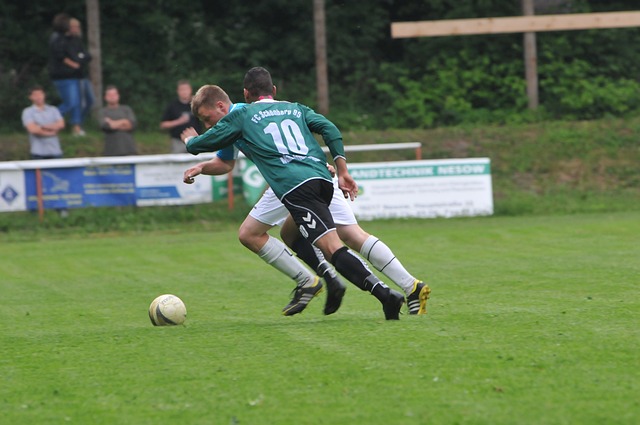 从广州影豹 从广州影豹