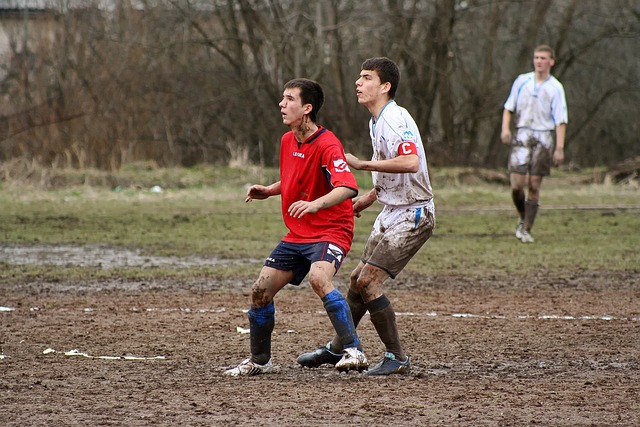 的商业机会 的商业机会